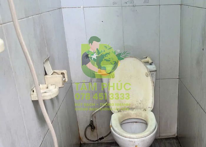 Thông tắc bồn cầu tại Lục Nam 