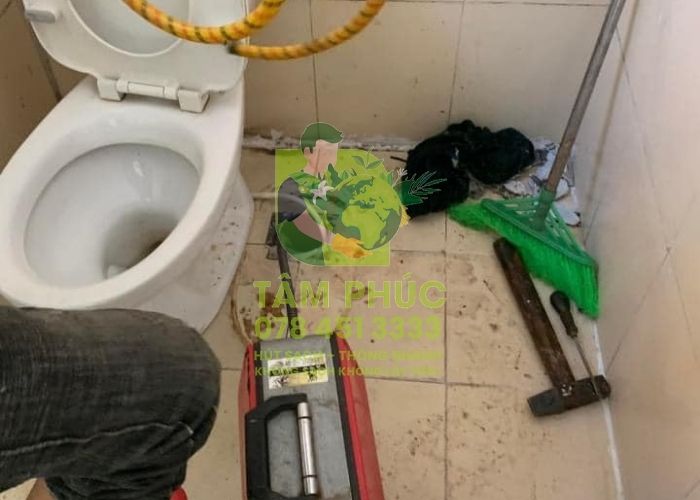 Thông tắc bồn cầu tại Lục Ngạn
