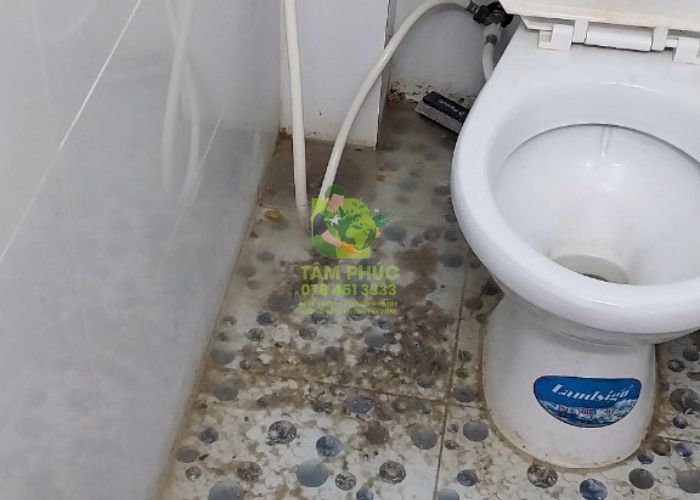 Thông tắc cống tại Đại Từ 