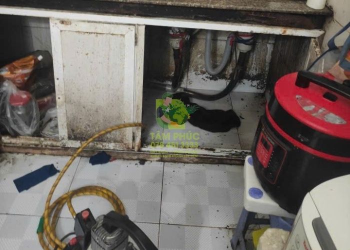 Thông tắc cống tại Võ Nhai