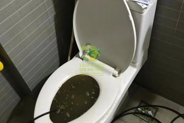 Thông bồn cầu nghẹt tại Cù Lao Dung - Giá minh bạch, 0 phát sinh 5 Thông bồn cầu nghẹt tại Cù Lao Dung