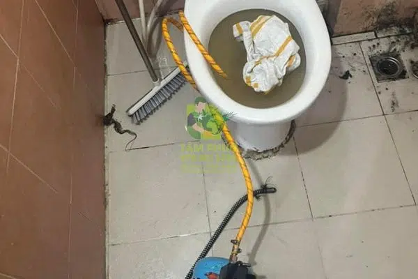 Thông bồn cầu nghẹt tại Thạnh Trị - Chuyên nghiệp, phục vụ 24h 7 Thông bồn cầu nghẹt tại Thạnh Trị