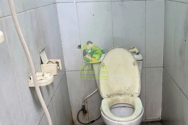 Thông bồn cầu nghẹt tại Thới Lai