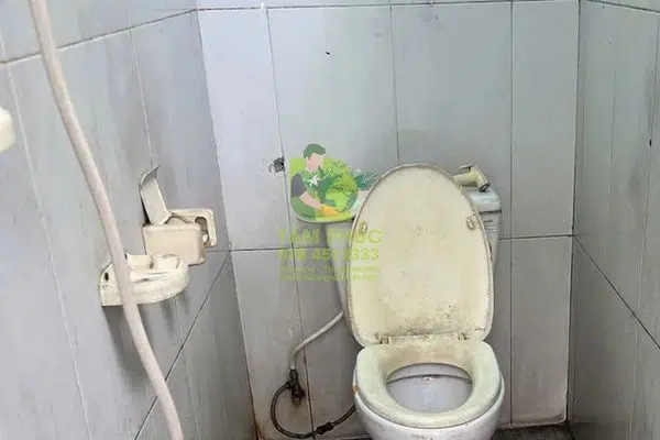 Thông bồn cầu nghẹt tại Thới Lai