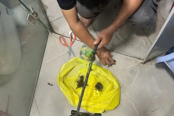 Thông cống nghẹt tại Phù Mỹ Bình Định – Top 1 dịch vụ 8 thong-cong-nghet-tai-phu-my-binh-dinh-7