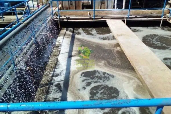 Đơn vị mua bán bùn vi sinh TPHCM uy tín, cam kết đạt chuẩn 2 mua-ban-bun-vi-sinh-tphcm