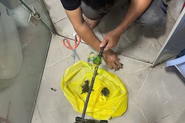 Thông cống nghẹt Phường 8 Quận Tân Bình – Thi công sạch sẽ, gọn gàng 3 thong-cong-nghet-phuong-8-quan-tan-binh-2